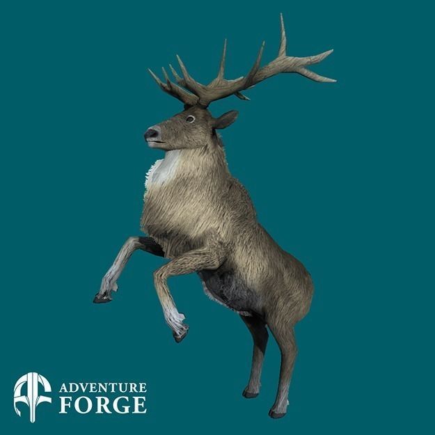 Nordic Deer Low-poly 3D model_2