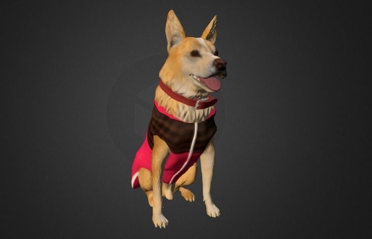 cute dog with clothes 3D print model_0
