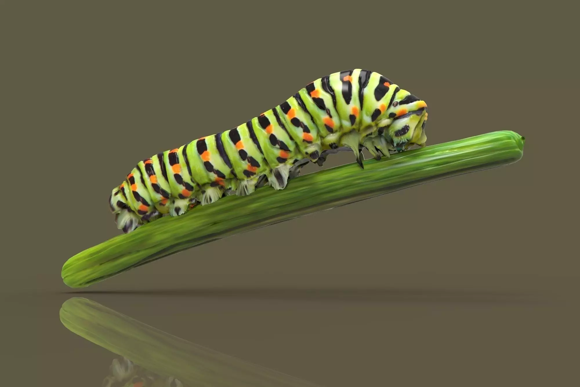 Caterpilar - Bruco 3D model_0