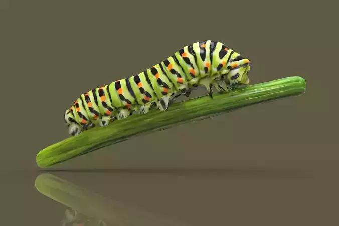 Caterpilar - Bruco 3D model