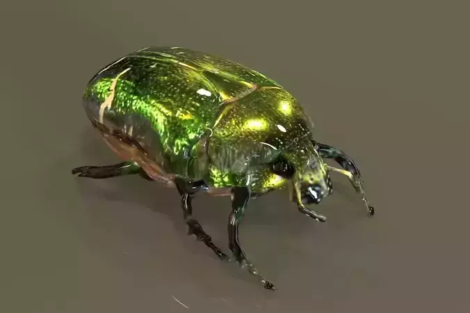 Cetonia Aurata - Maggiolino 3D model