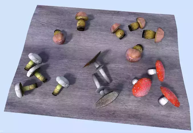 shrooms collection group of mushrooms on table Low-poly 3D model