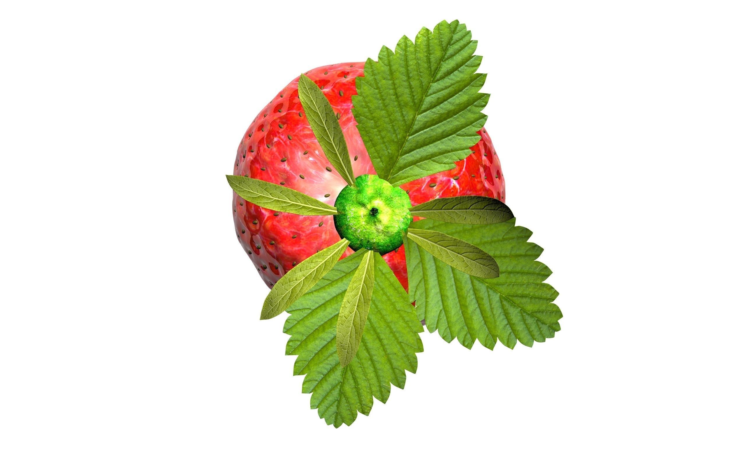 Strawberry on white background 3d illustration for Your Desing 3D model_1