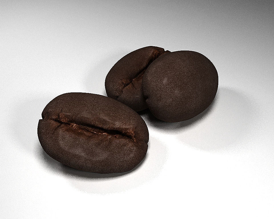 coffee bean 3D model_2