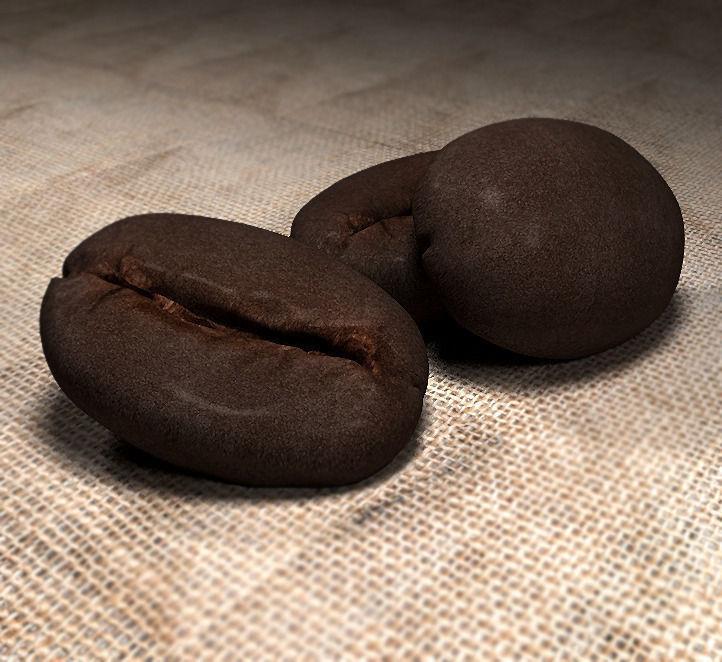 coffee bean 3D model_1