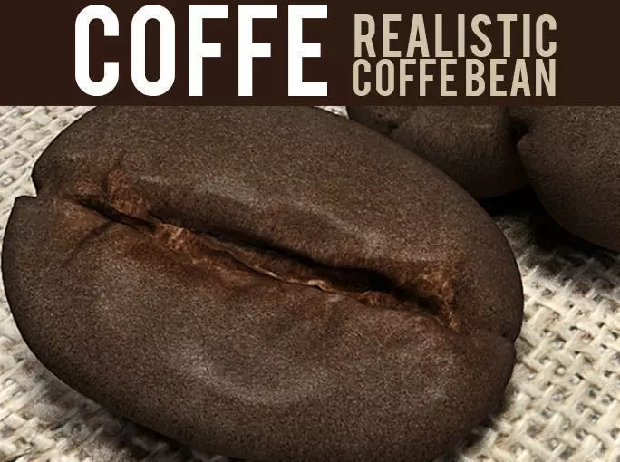 coffee bean 3D model_0