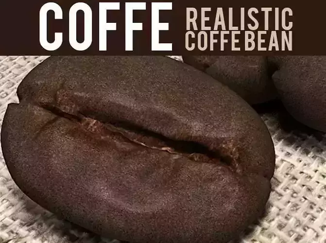 coffee bean 3D model