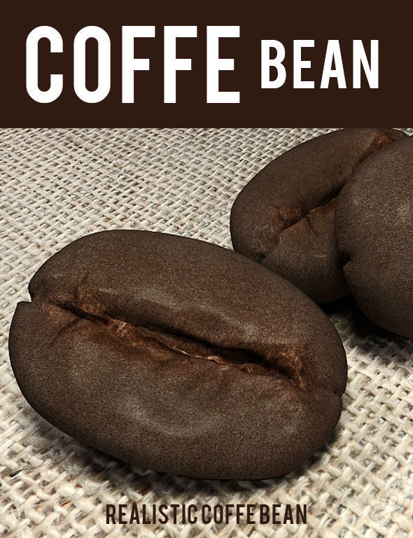coffee bean 3D model_3