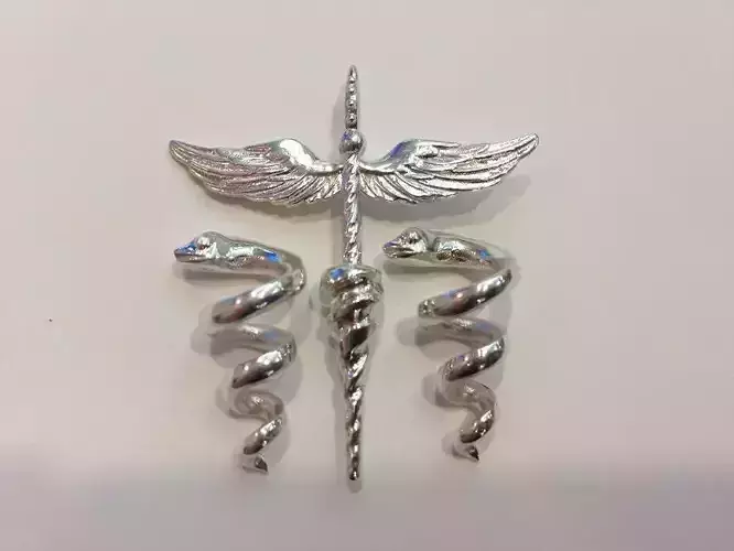 WINGsnake silver medical badge with two snakes 3D print model
