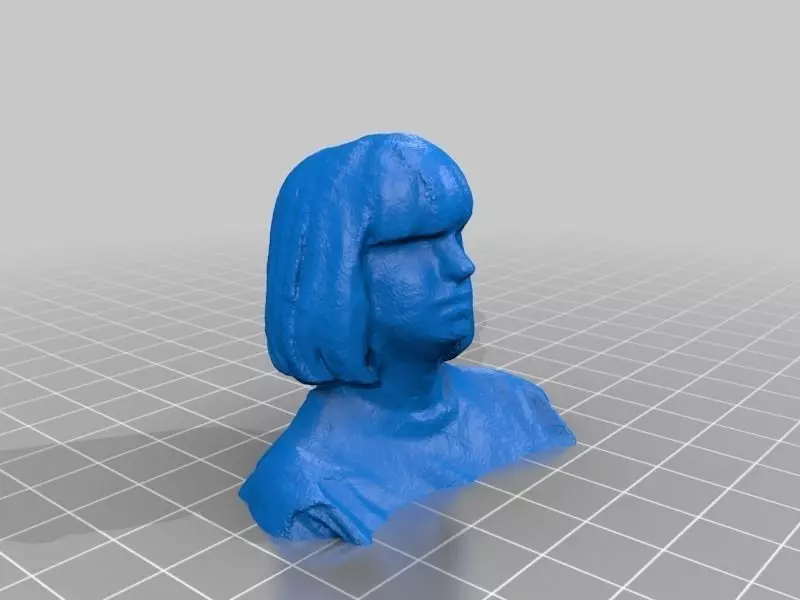 Courtney can finally see herself by tblatt of custom3dstuff Free 3D print model