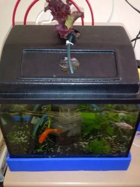 Hanging Garden Aquaponics Free 3D print model