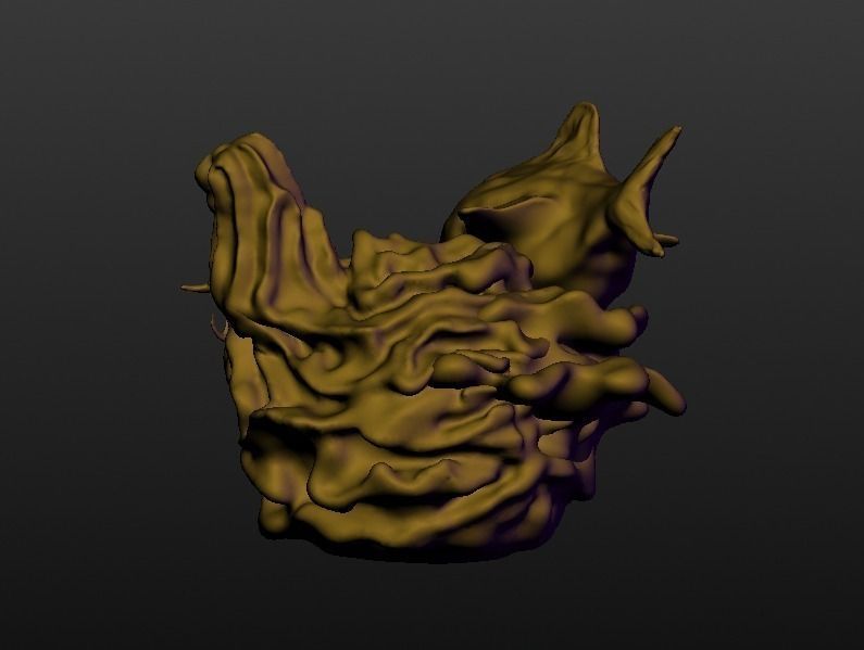Coral Fish Free 3D print model_3