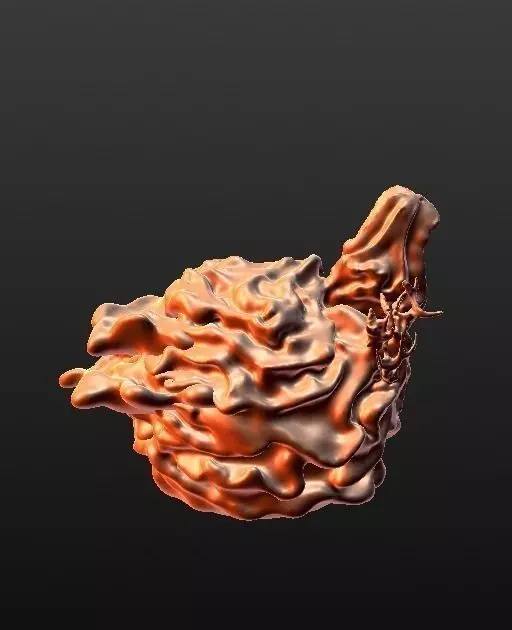 Coral Reef Free 3D print model