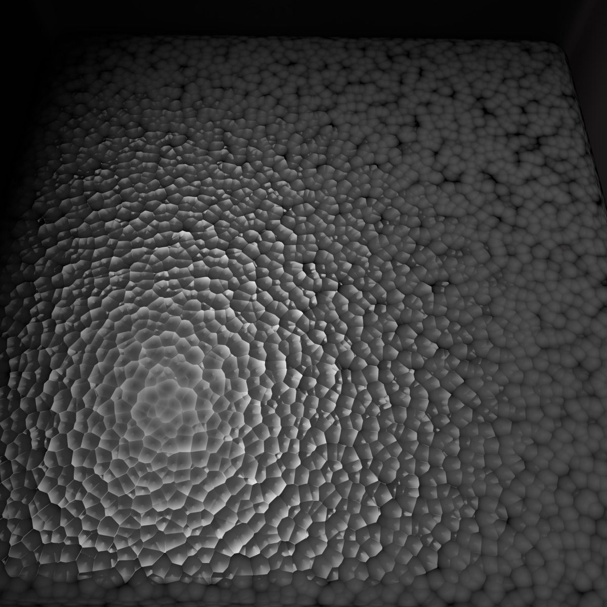 Chair Basic Free 3D model_2