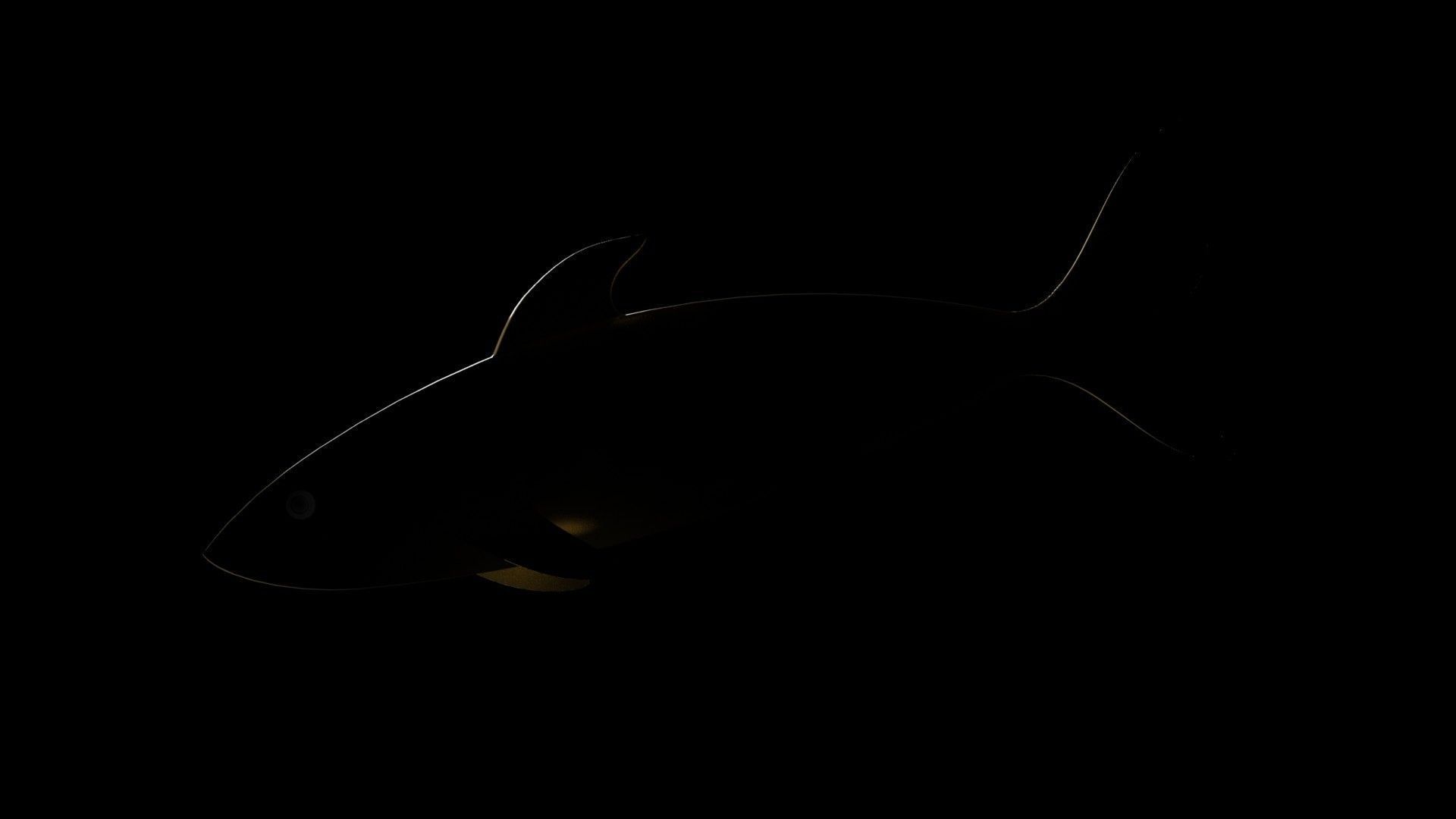 fish surface loft Free 3D model_3