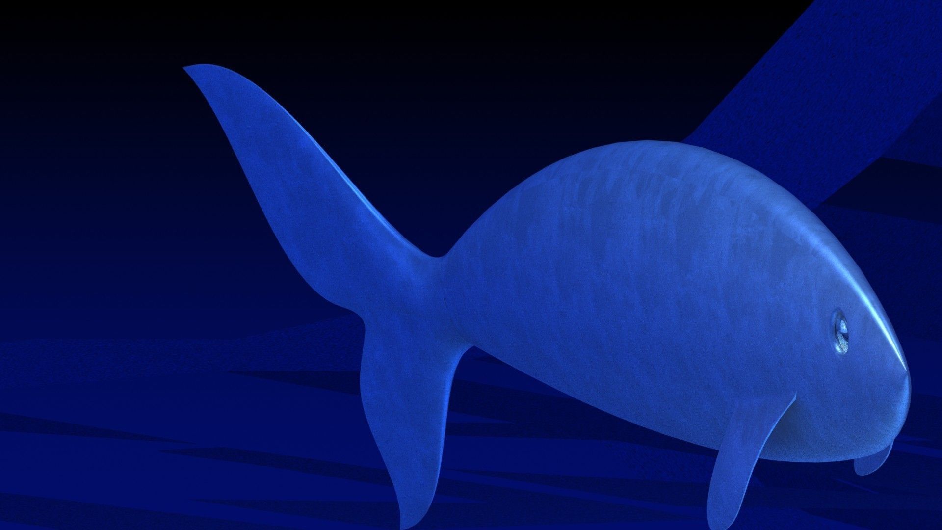 fish surface loft Free 3D model_2