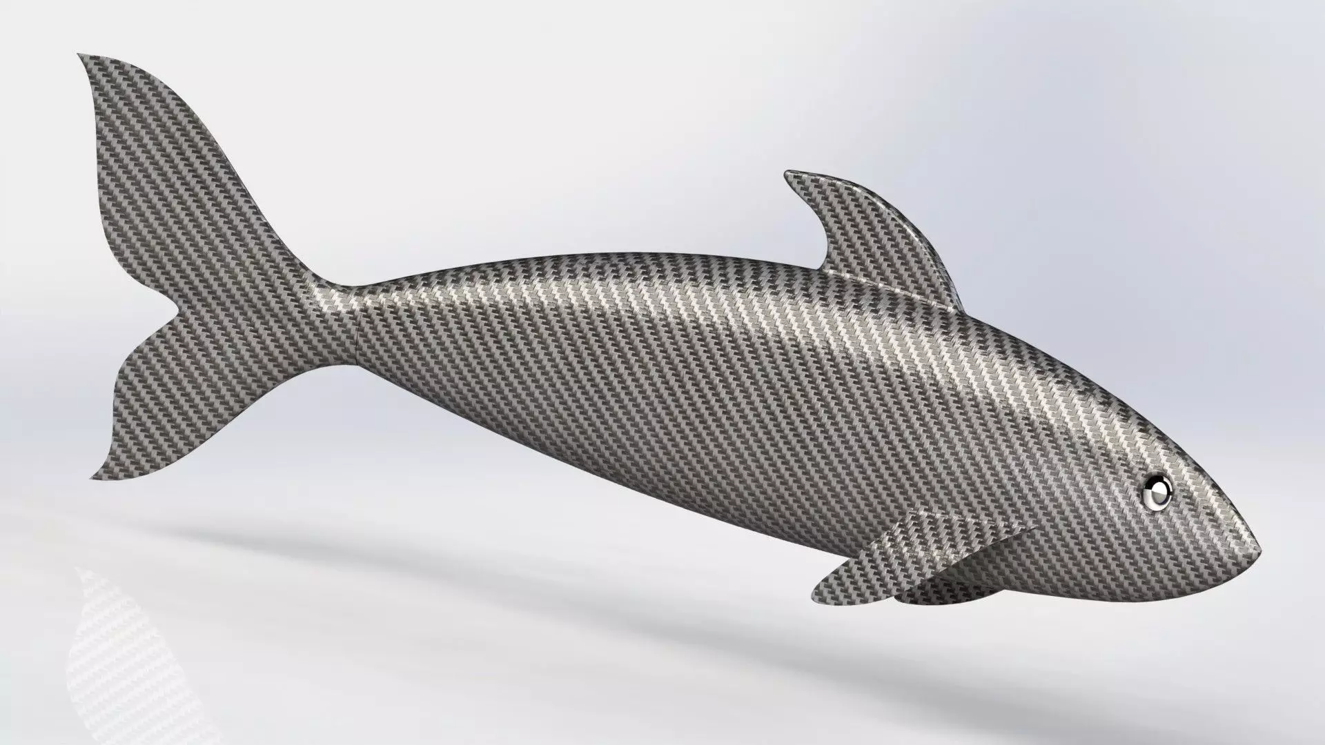 fish surface loft Free 3D model_0