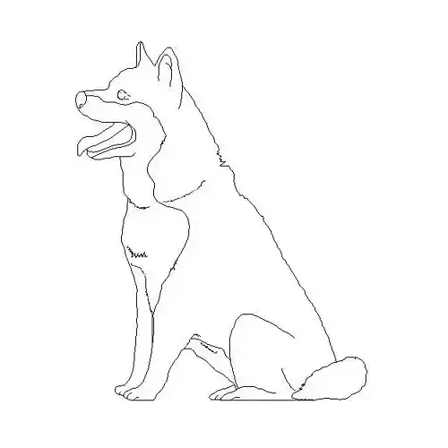 Dog 1 2D Free 3D model
