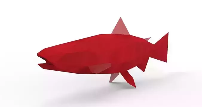 Mega Salmon 3D Model  Low-poly 3D model