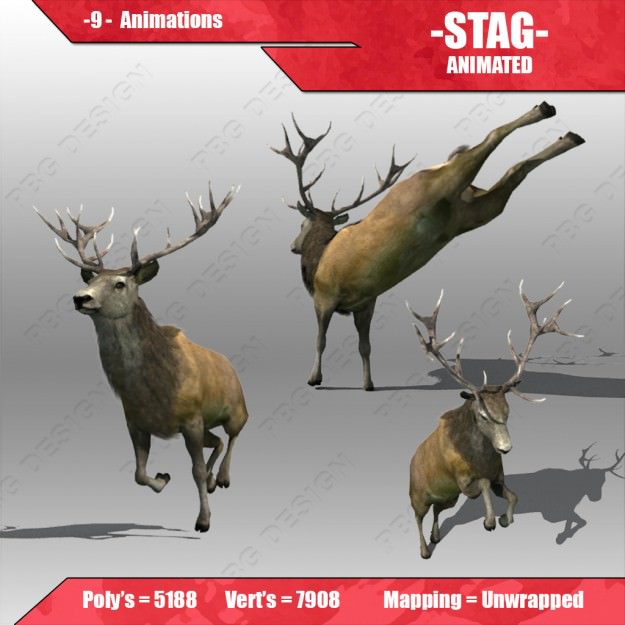 Stag Animated Low-poly 3D model_2