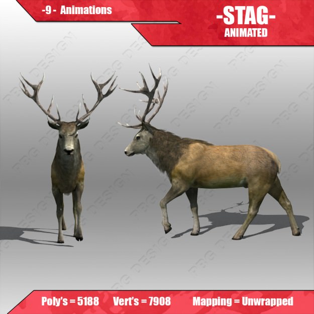 Stag Animated Low-poly 3D model_1