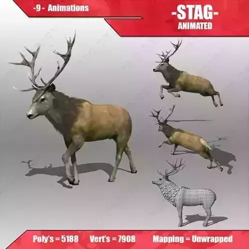 Stag Animated Low-poly 3D model