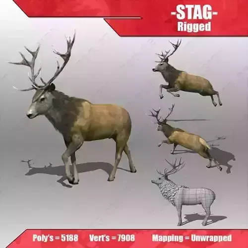 stag Deer Low-poly 3D model