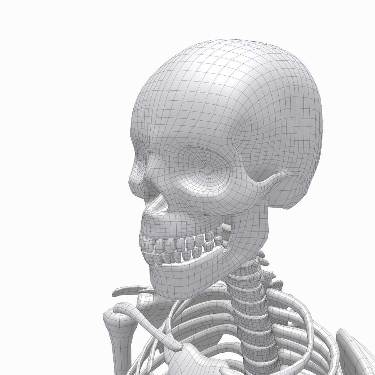 cool skeleton Low-poly 3D model_16