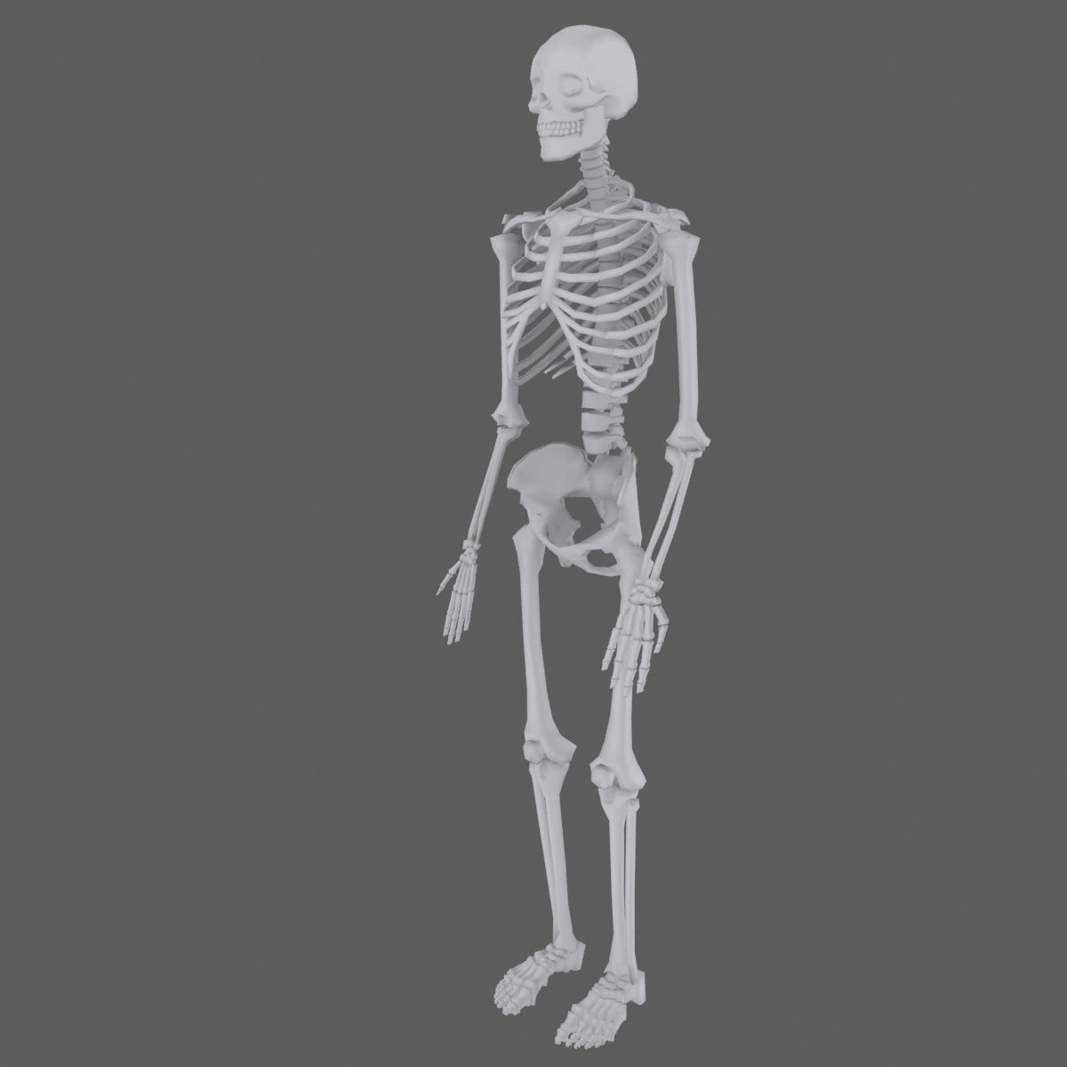 cool skeleton Low-poly 3D model_2