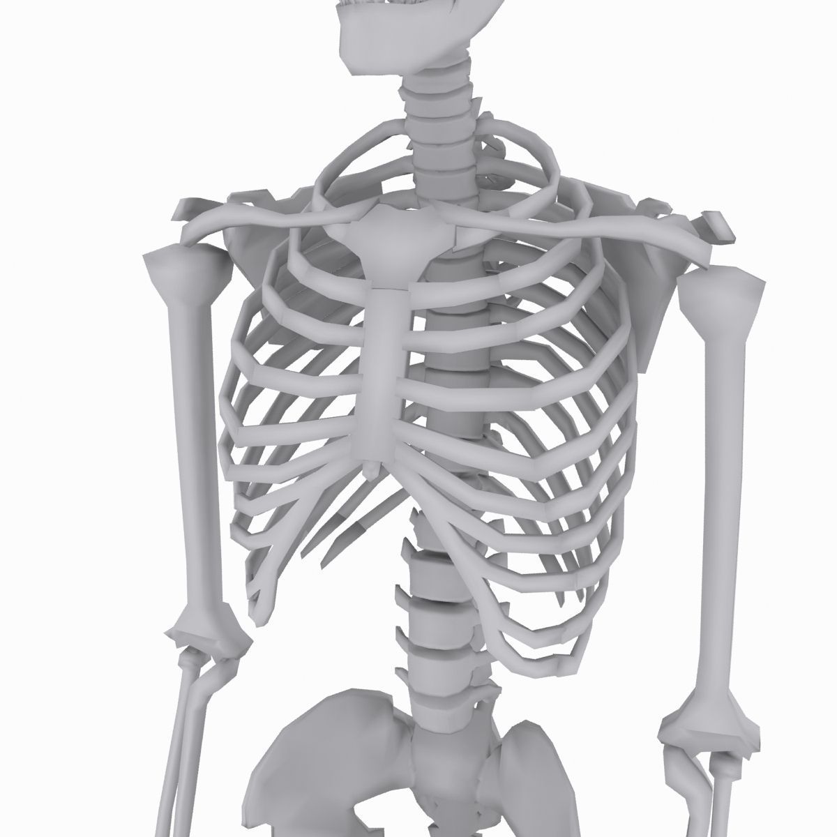 cool skeleton Low-poly 3D model_3