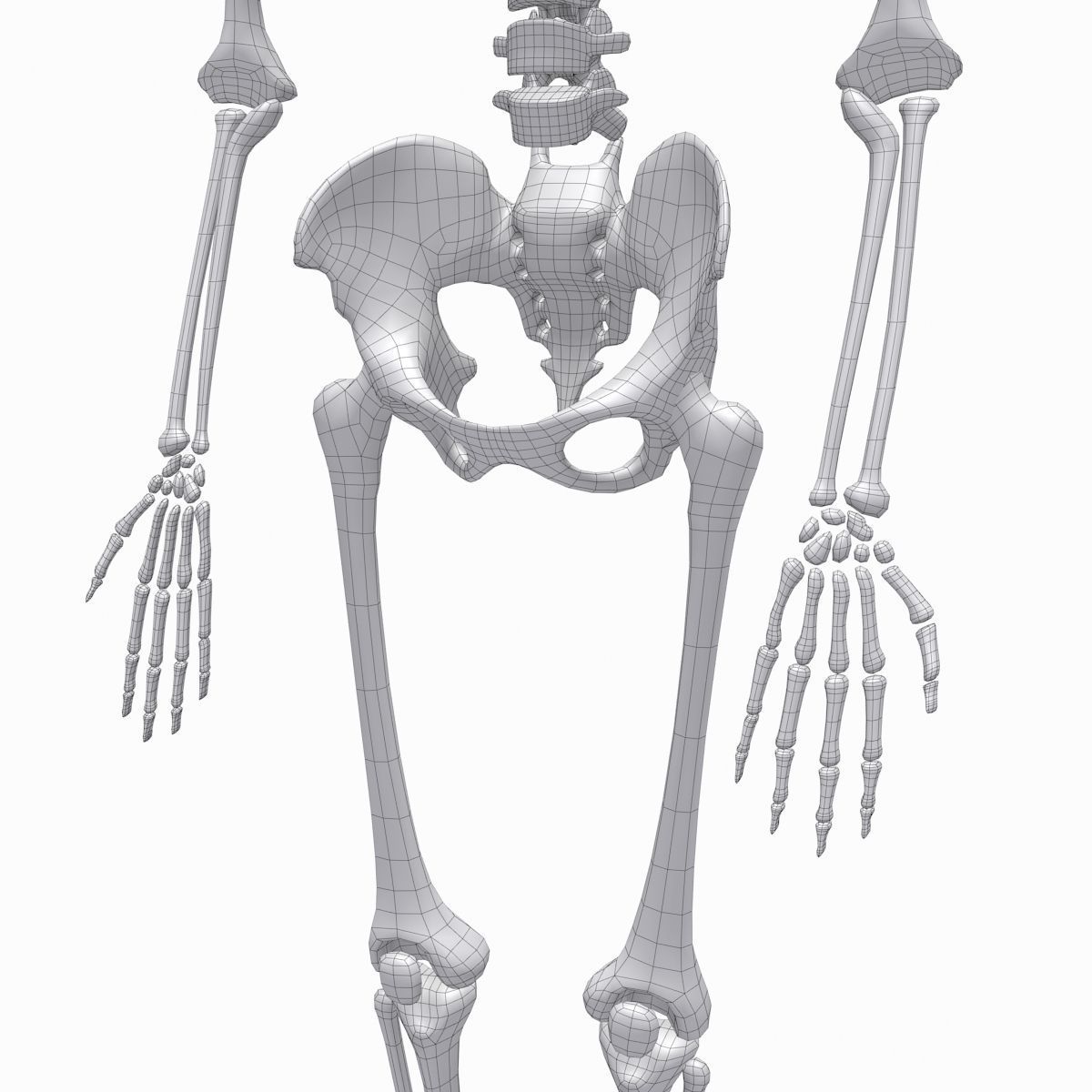 cool skeleton Low-poly 3D model_11
