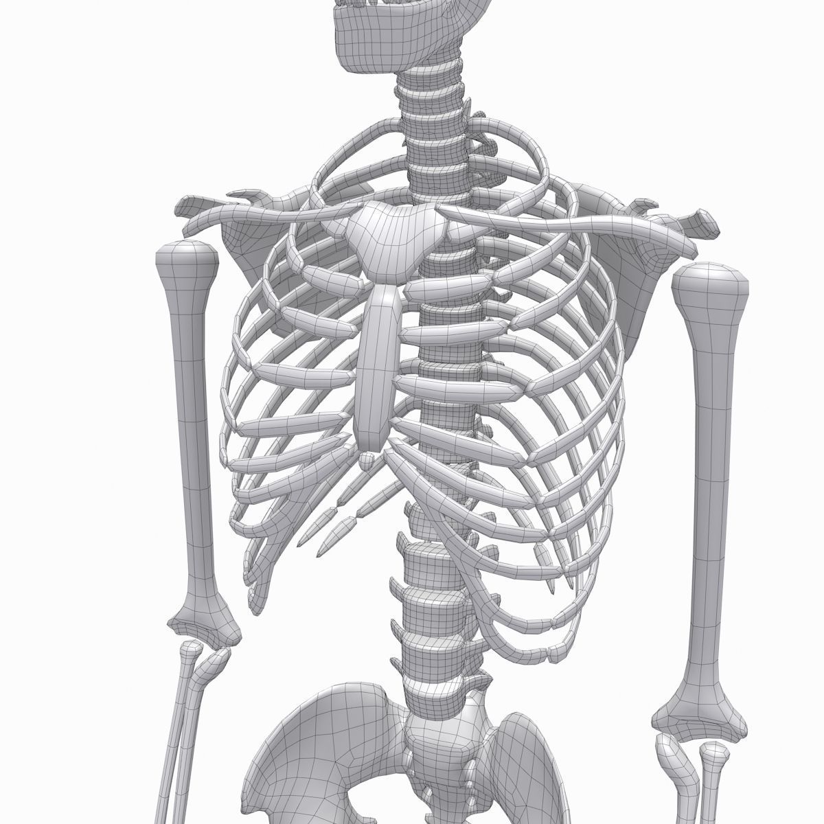 cool skeleton Low-poly 3D model_5