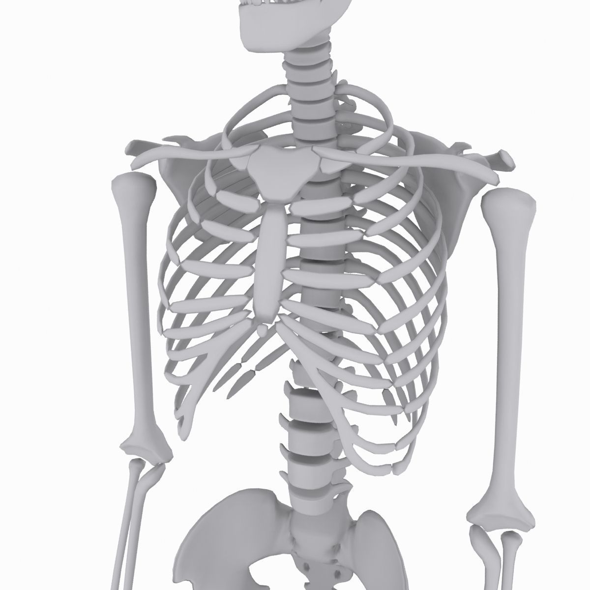 cool skeleton Low-poly 3D model_8