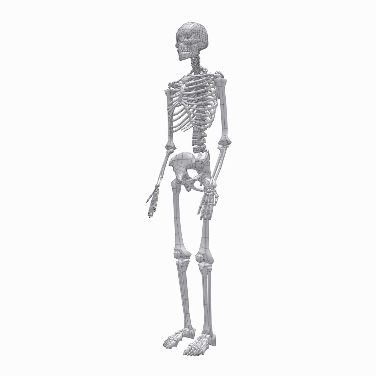 cool skeleton Low-poly 3D model_1