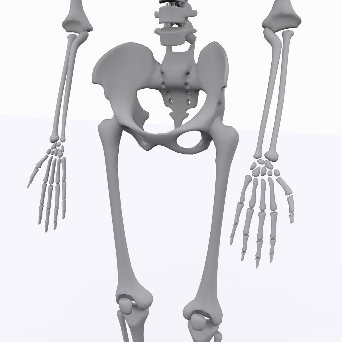 cool skeleton Low-poly 3D model_14