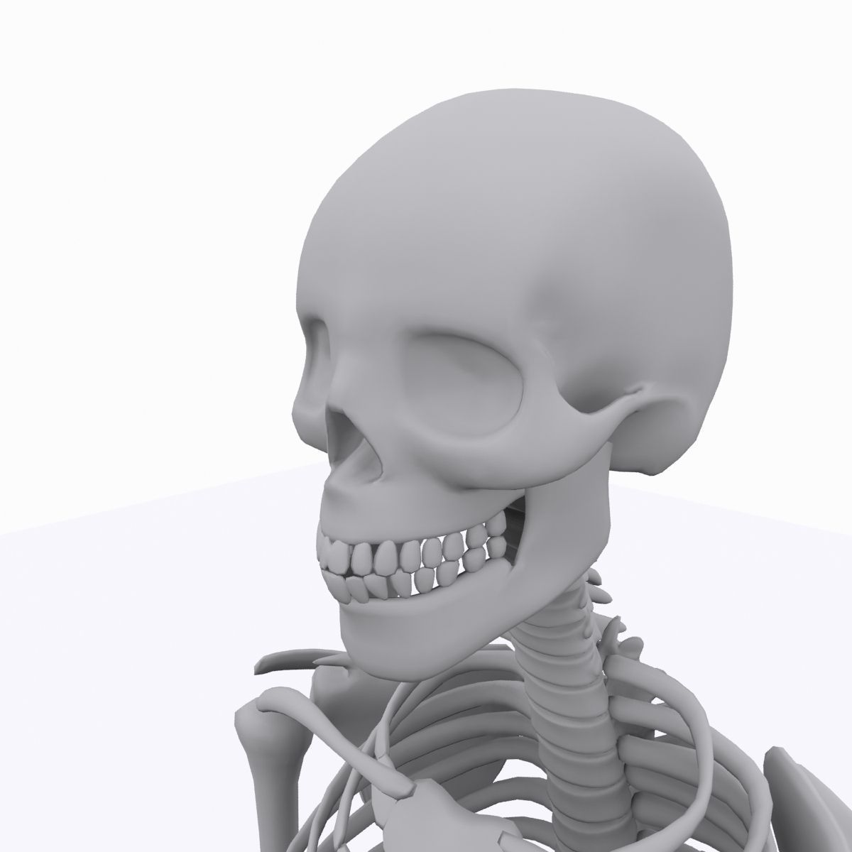 cool skeleton Low-poly 3D model_15