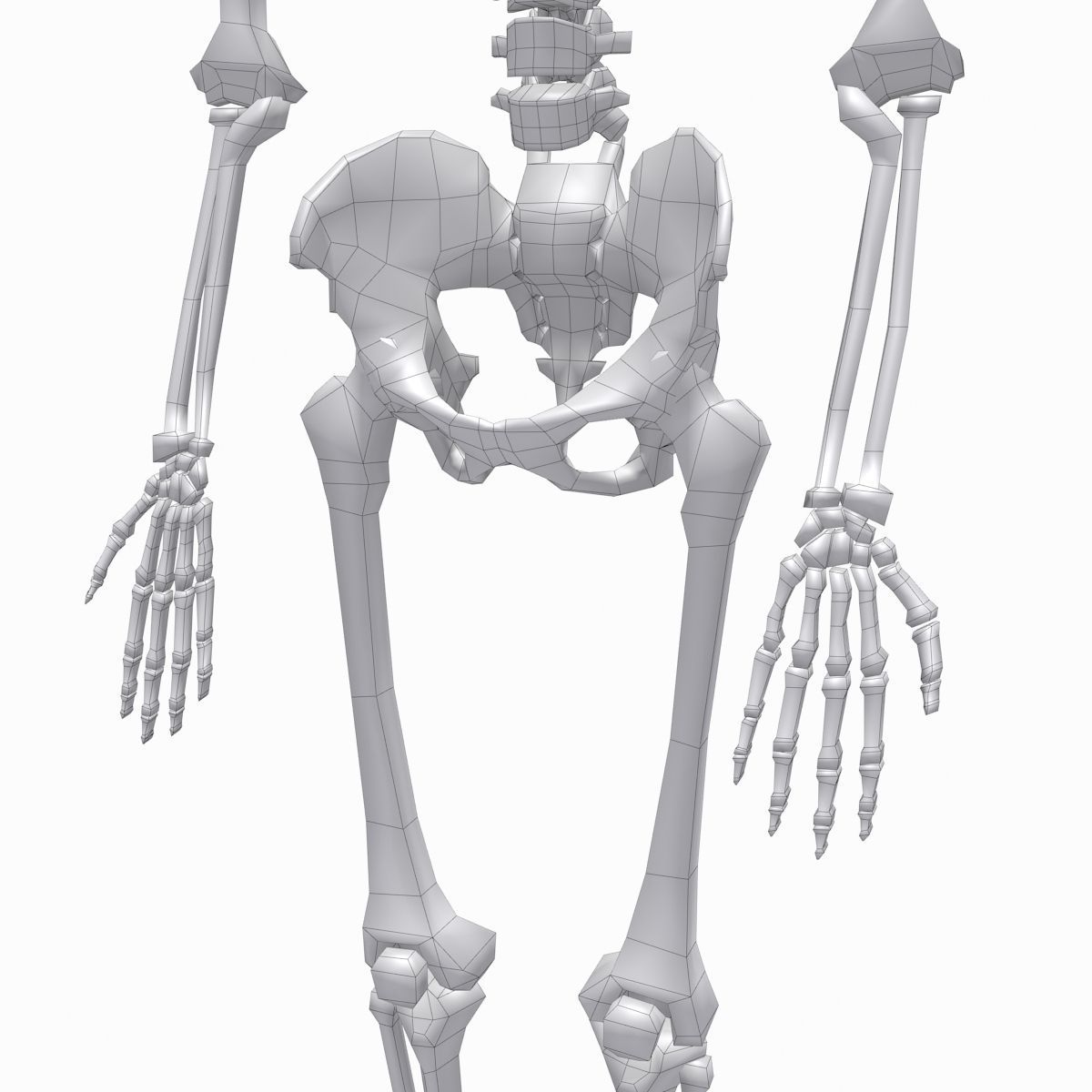 cool skeleton Low-poly 3D model_12