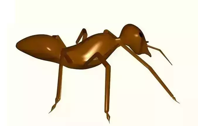 Ant Model Free 3D print model