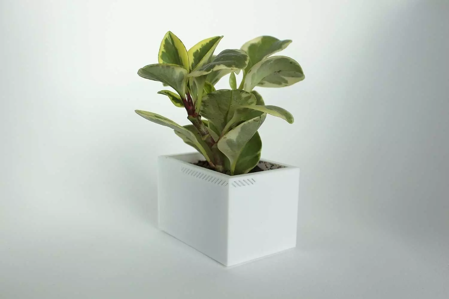 003h - Planter - Small Rectangular - 3D print model