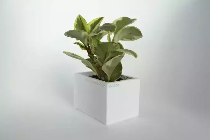 003h - Planter - Small Rectangular - 