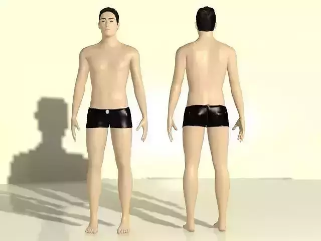 Human v1 3D model