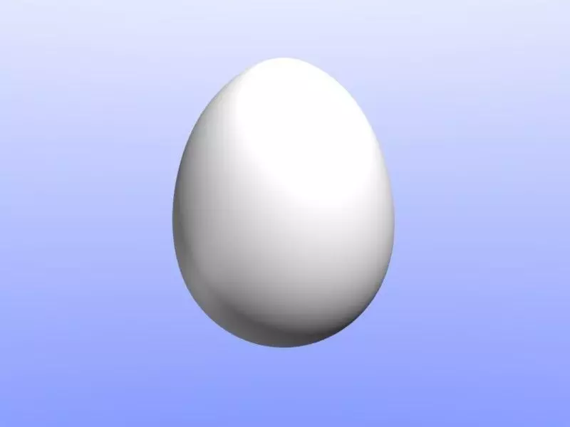 Chicken Egg 3D print model_0
