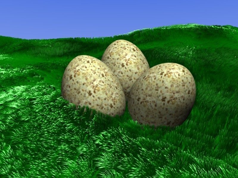 Chicken Egg 3D print model_2