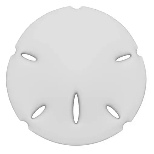 Sand Dollar 3D print model