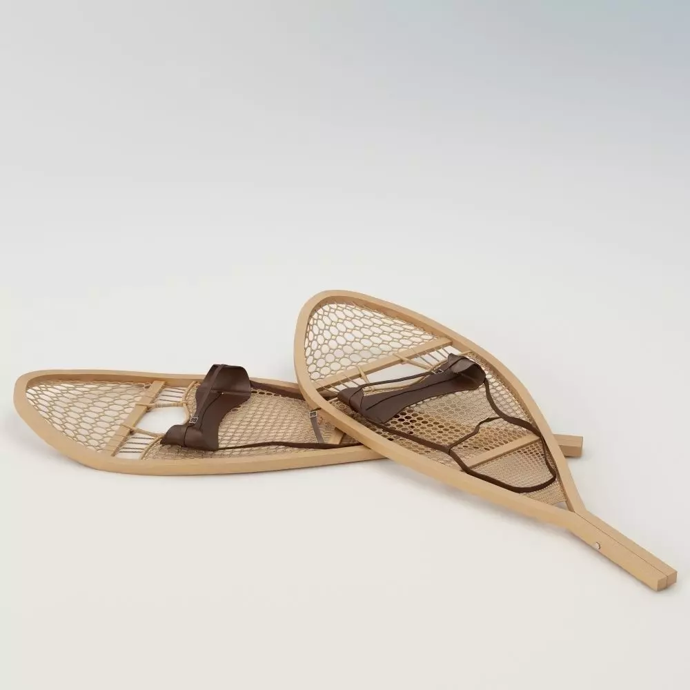 Snowshoes two wooden 3D model_0