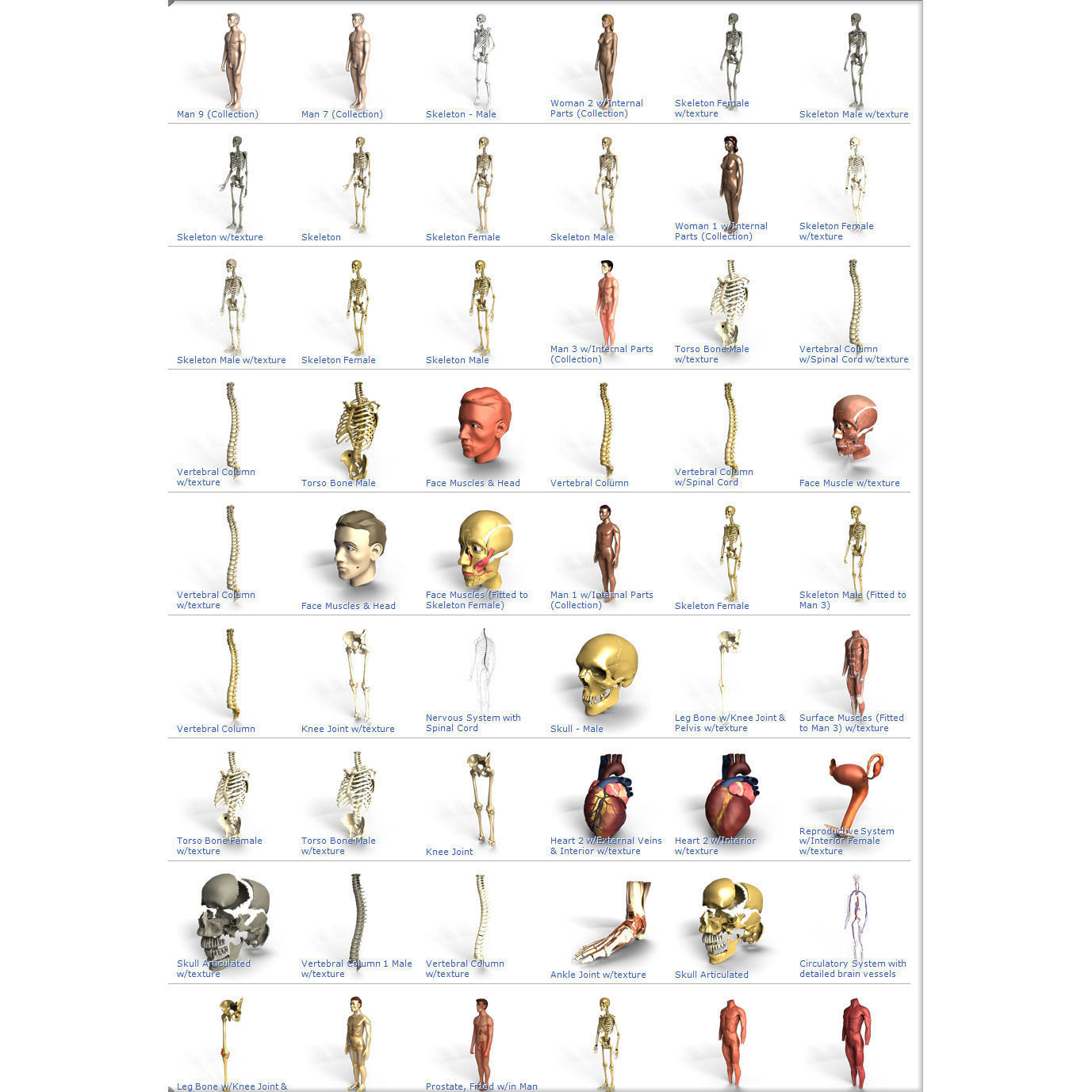 Digimation Model Bank Archive DVD Low-poly 3D model_5