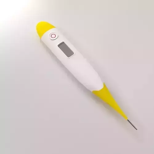 Digital Thermometer