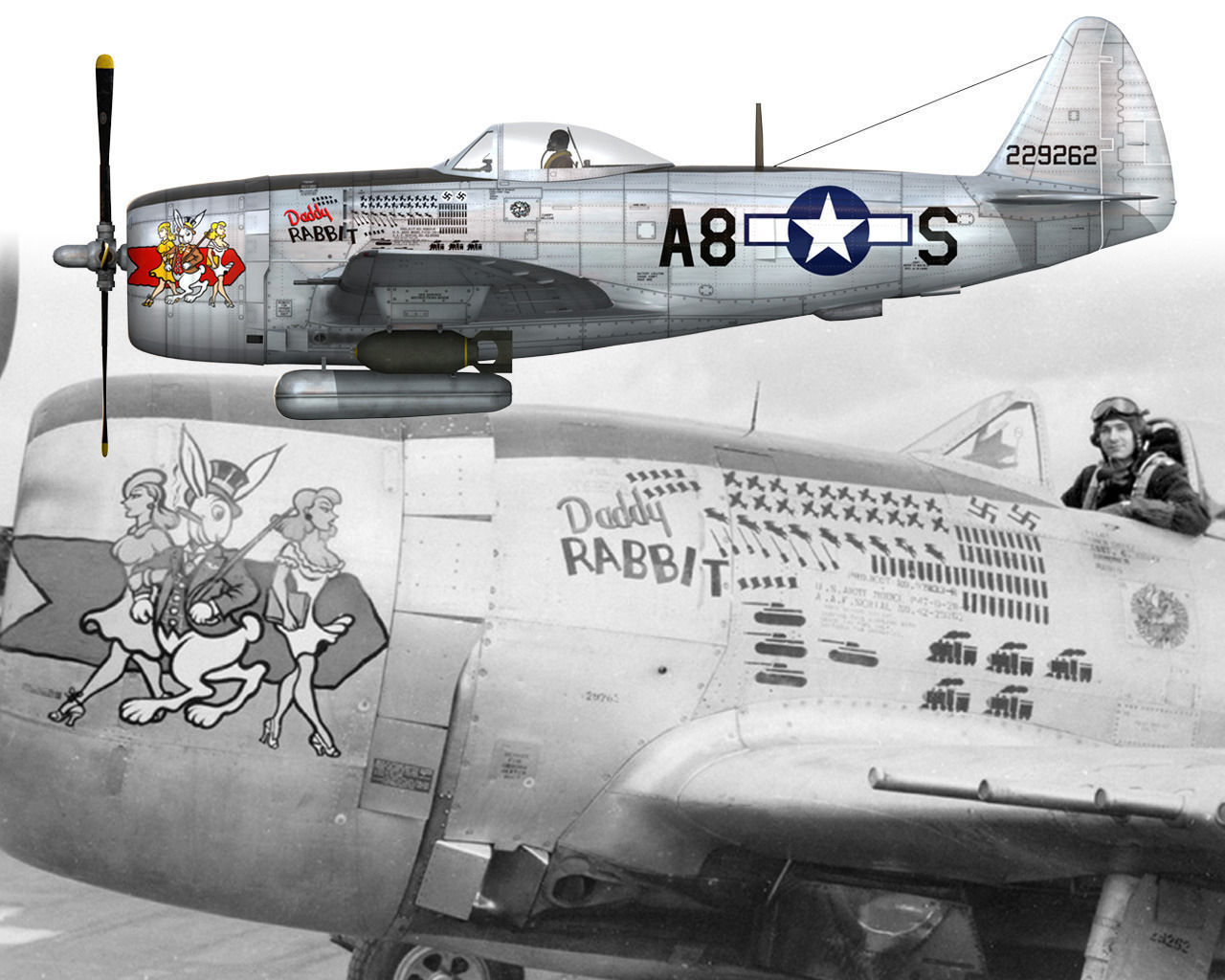 Republic P-47 Thunderbolt - Daddy Rabbit 3D model_18