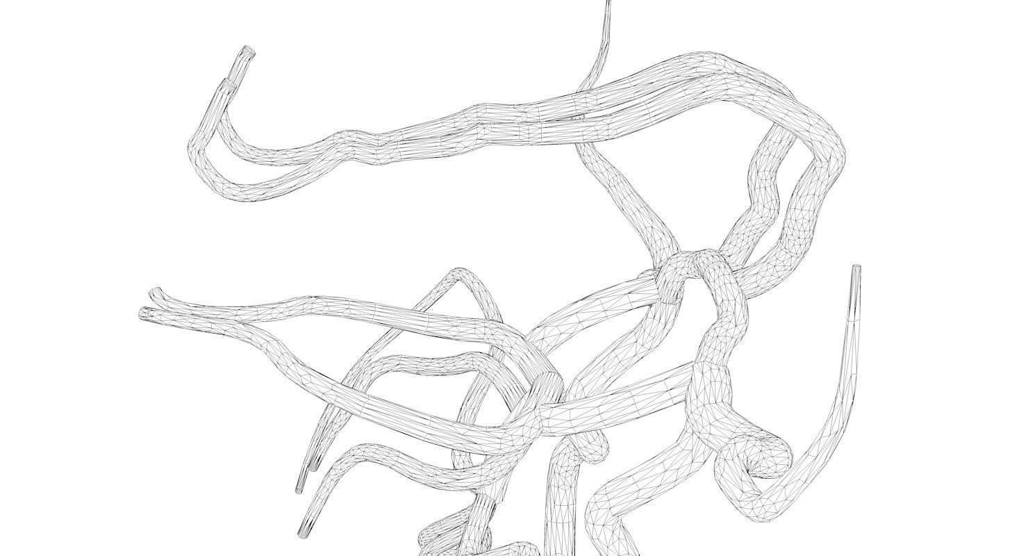 Circle Of Willes Blood Supply Of Brain 3d Model 3D model_31