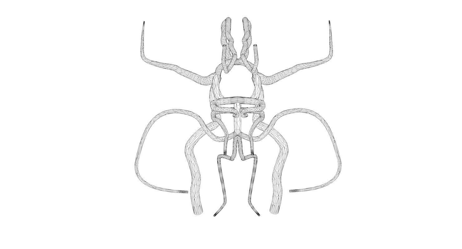Circle Of Willes Blood Supply Of Brain 3d Model 3D model_23